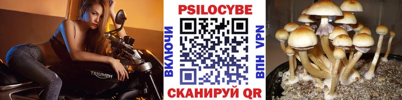Псилоцибиновые грибы ЛСД  Купить где  Малая Вишера 